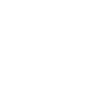 audit